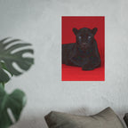 Black Panther on an Red Background