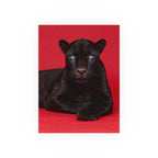 Black Panther on an Red Background