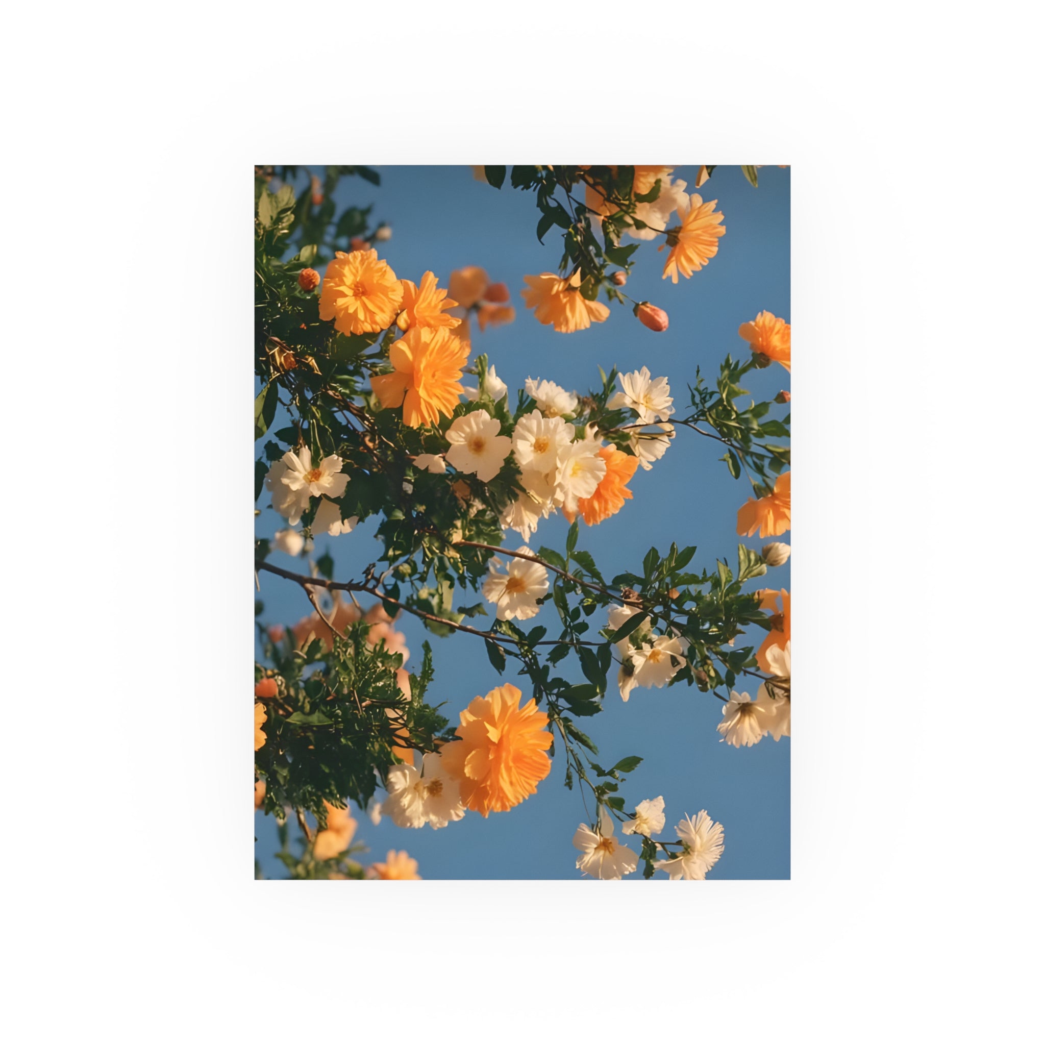 Orange & White Floral Sky Poster