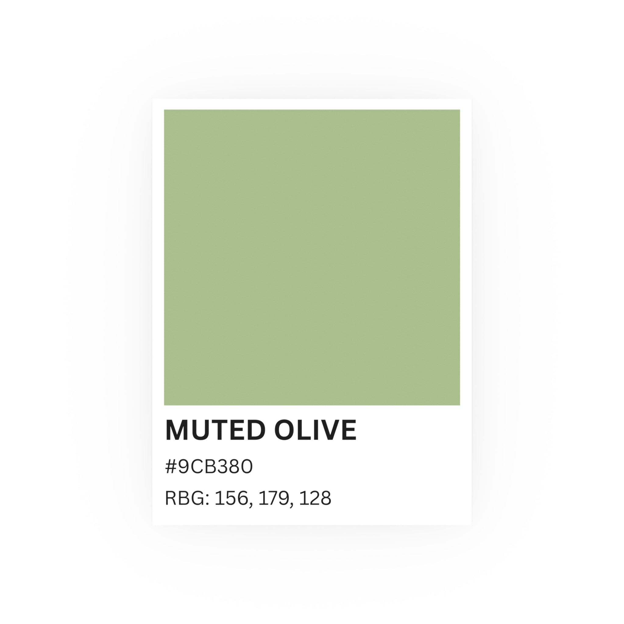 Muted Olive Color Poster